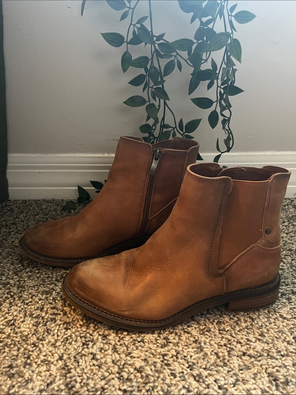 Franco Sarto Chestnut Brown Leather Ankle Boots